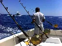 deep_sea_fishing_mauritius.webp