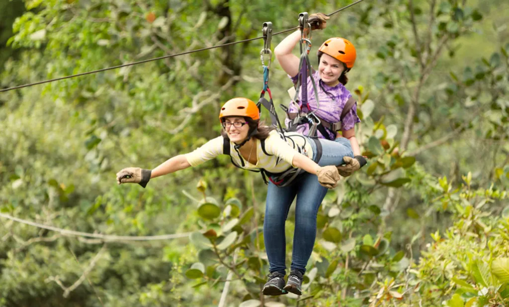 zipline.webp